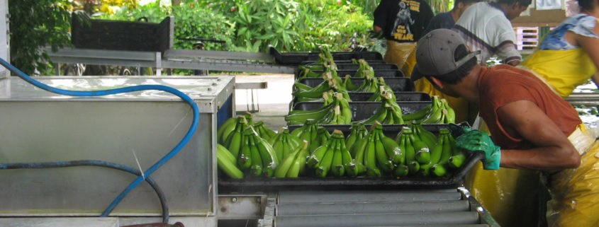 maquinas de alimentos industriales