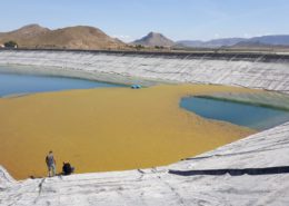 eliminar el alga amarilla en balsas de riego