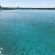 Cómo evitar la aparición de vegetación acuática en balsas de riego con Dynalgae Blue®