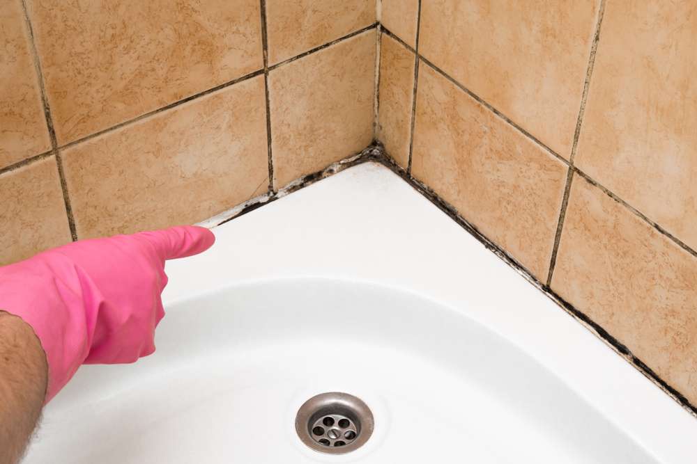Evitar el moho en baños y zonas húmedas - Equipamiento para baño